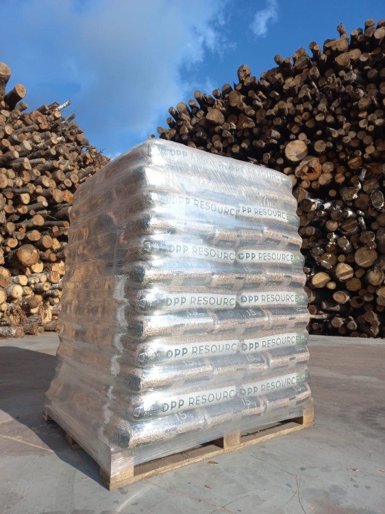 Pellet drzewny DPP Resource 15 kg - obrazek 4